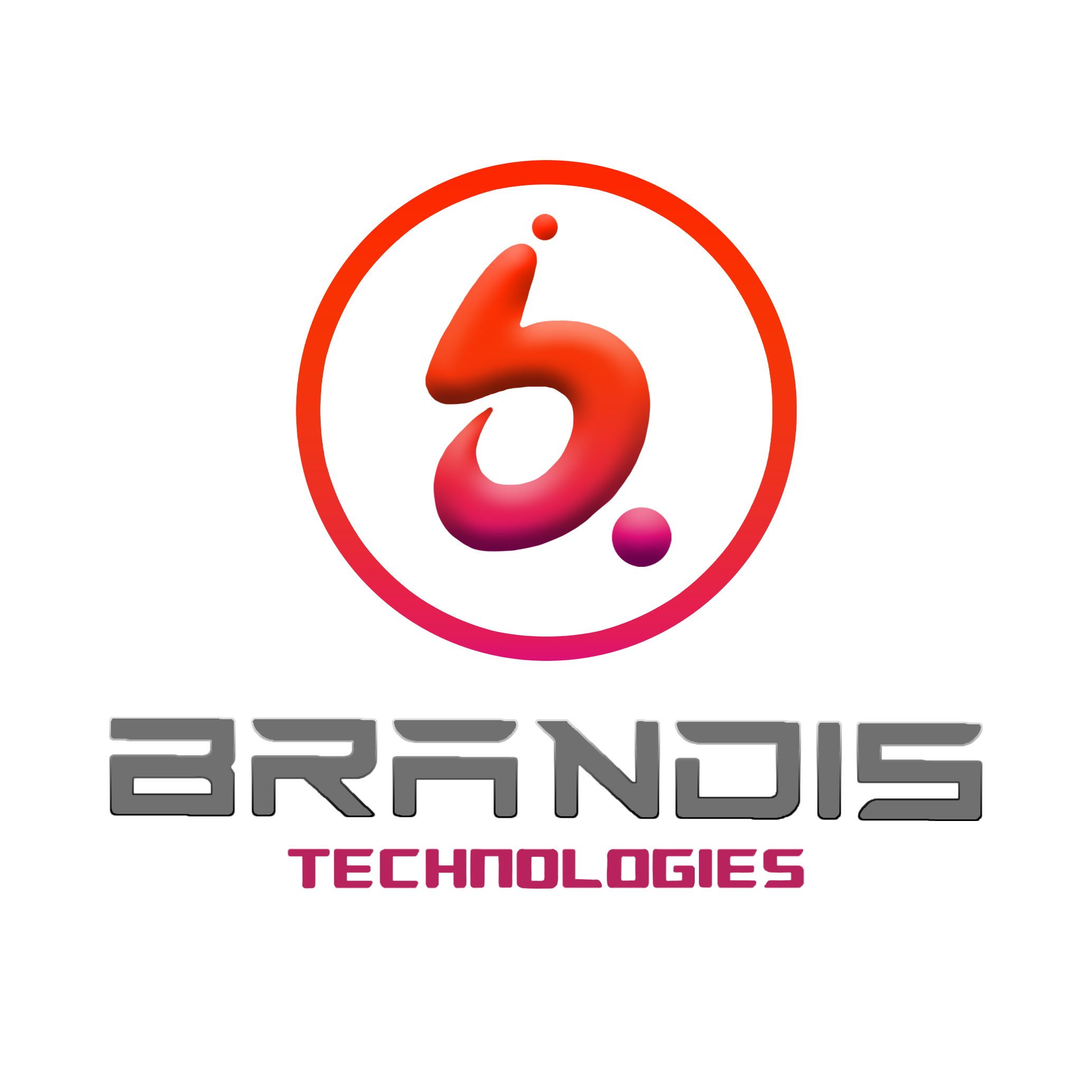 Brandis techs logo